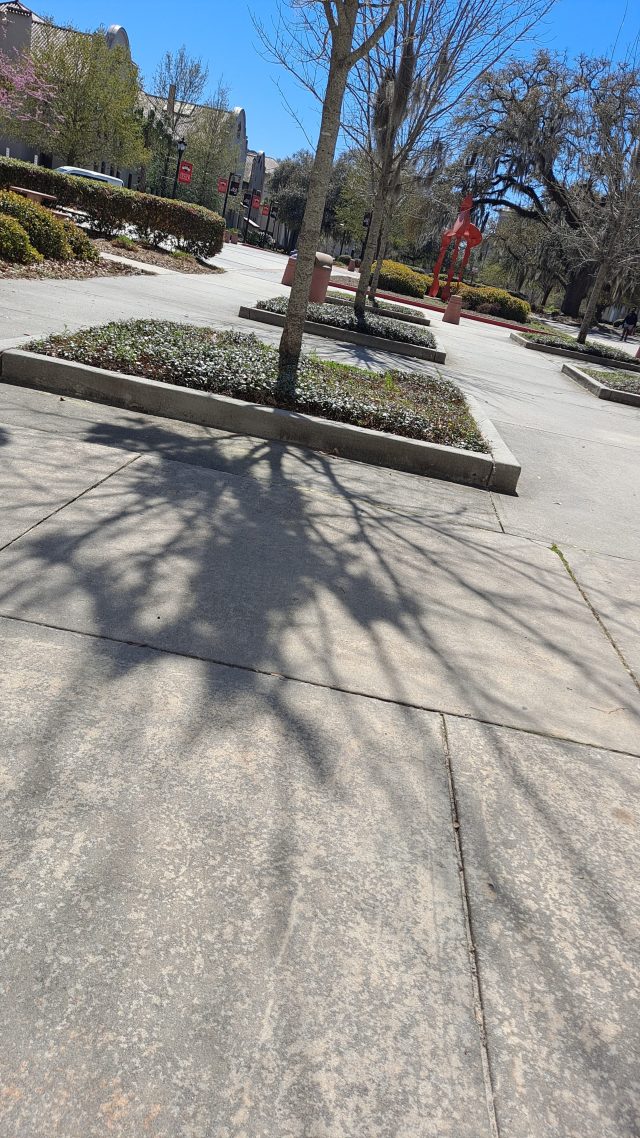 20210309 120245 rotated