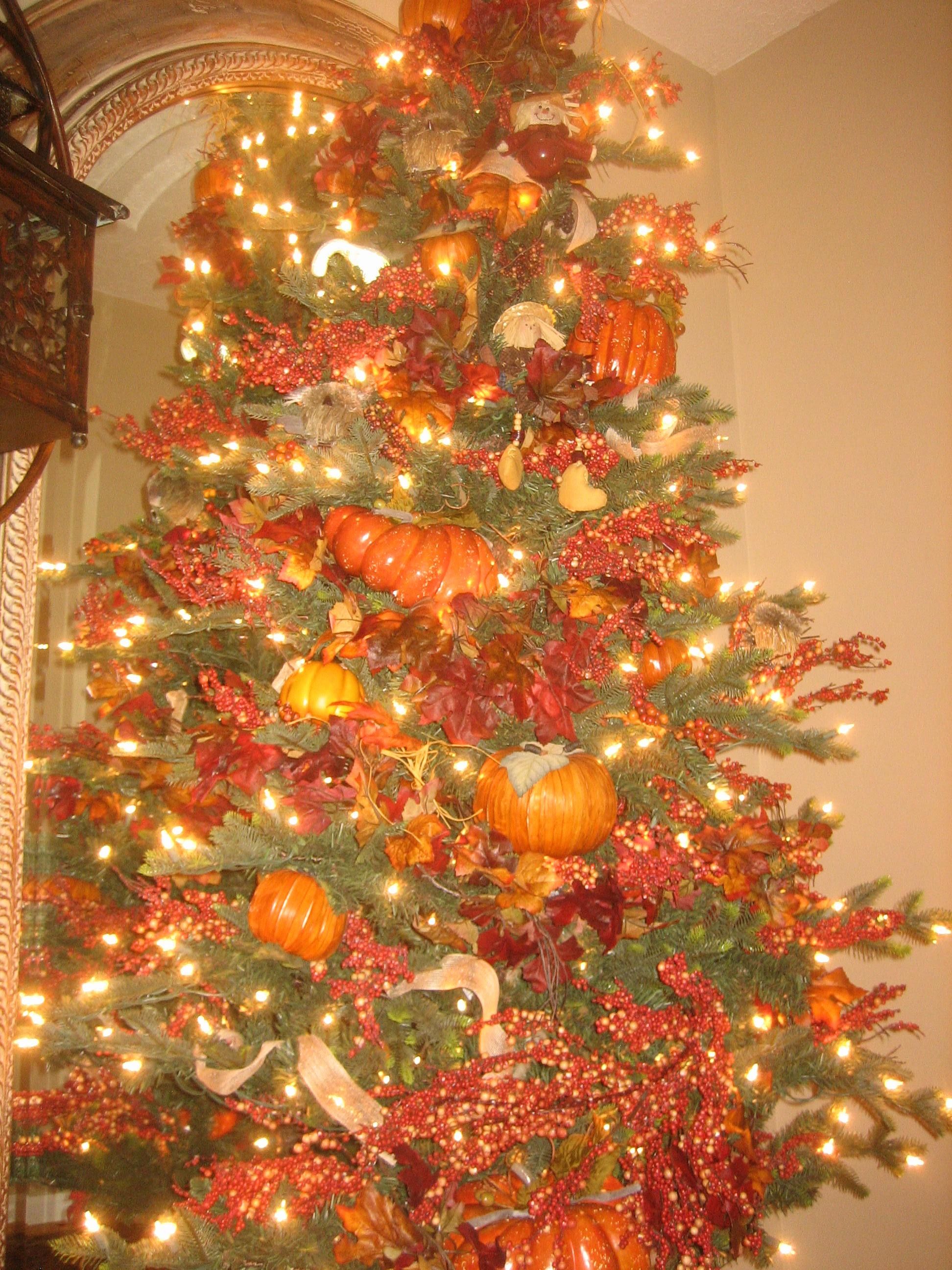 FALL Into A New Book! Her Campus