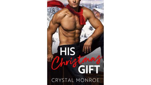 20 Holiday Romance Novels That Are Low-Key Spicy 15 13