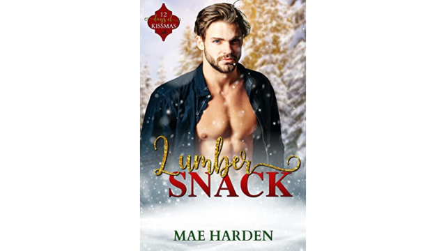 20 Holiday Romance Novels That Are Low-Key Spicy 22 20