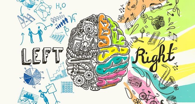 picture of left brain and right brain