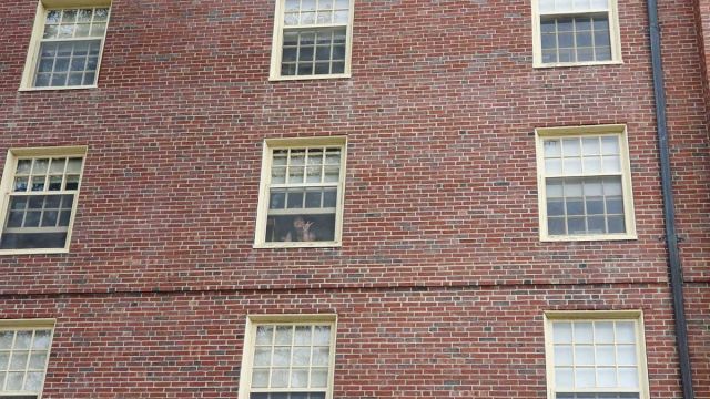 university dorm windows