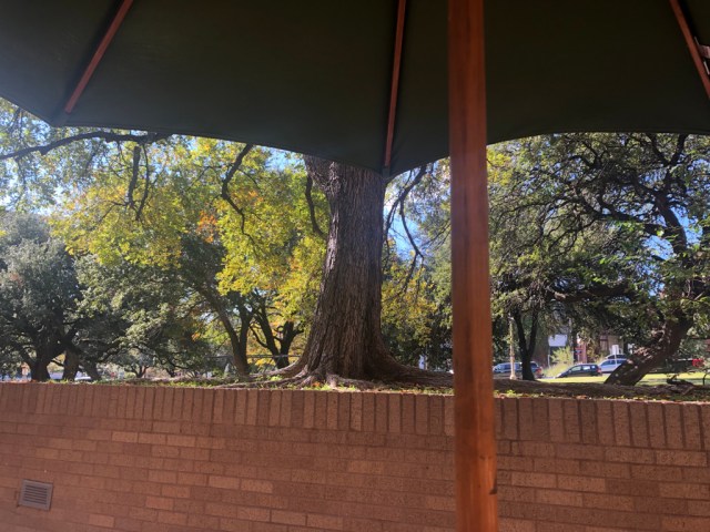 93F4A8B4 DD09 4403 8BC1 2F9F01CF4461 1 105 c