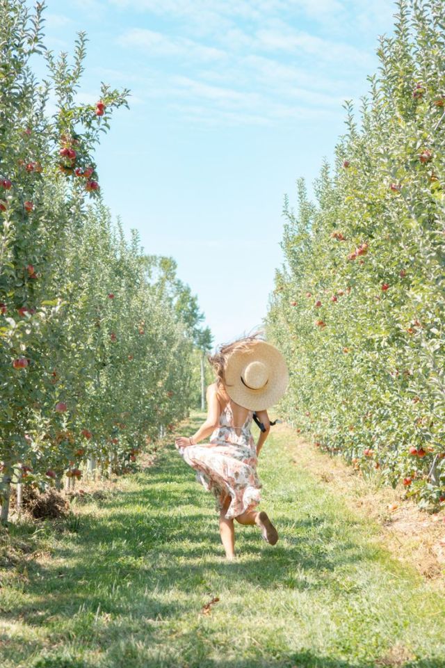 0d2f59c83613d5aa7164f906cc7709d5