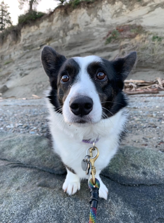 Screen Shot 2022 10 30 at 12.42.45 PM