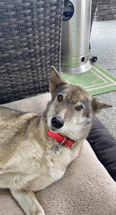 Screen Shot 2022 10 30 at 12.52.14 PM