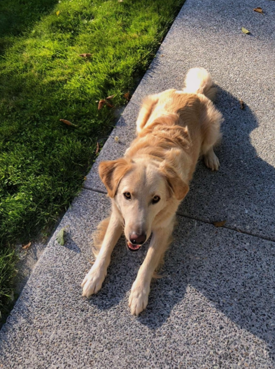 Screen Shot 2022 10 30 at 2.13.18 PM