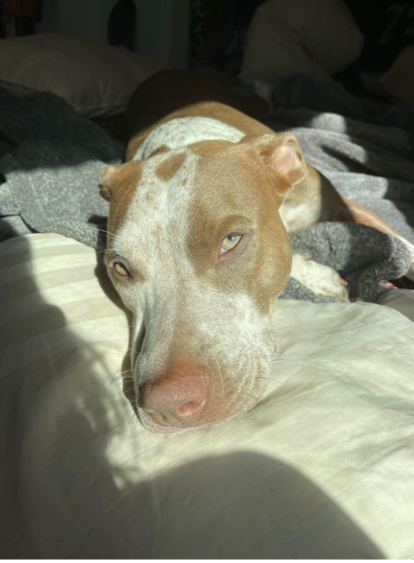 Screen Shot 2022 10 30 at 6.36.55 PM