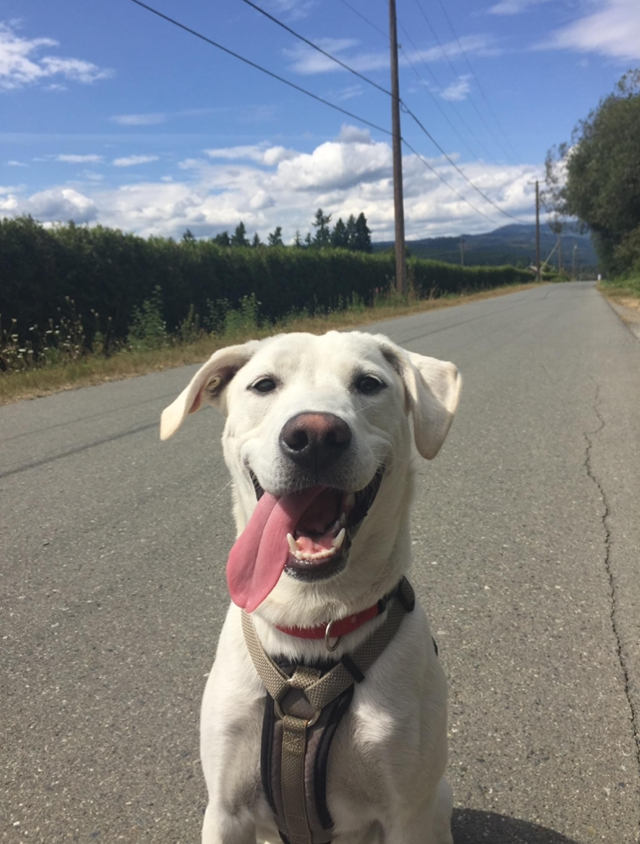 Screen Shot 2022 10 30 at 6.38.21 PM