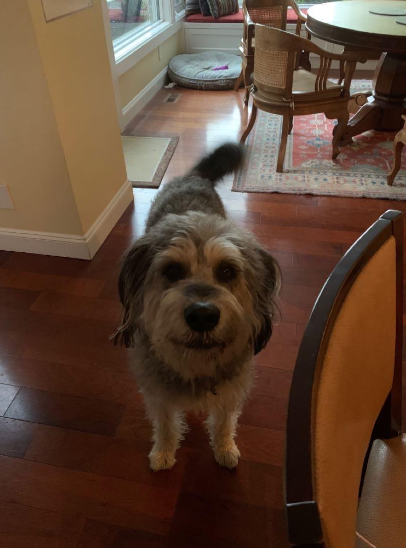 Screen Shot 2022 10 30 at 6.41.25 PM