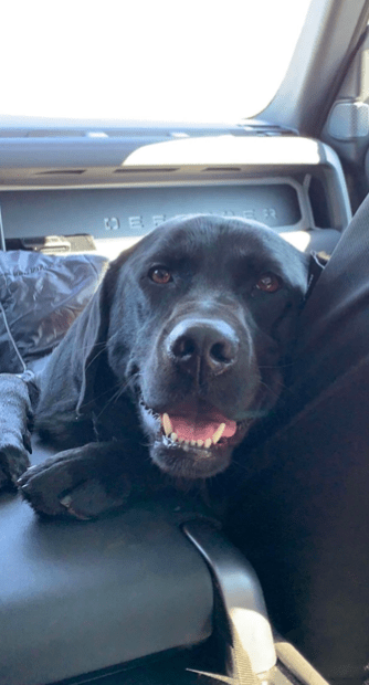 Screen Shot 2022 10 30 at 6.43.21 PM