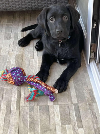 Screen Shot 2022 10 30 at 6.45.35 PM