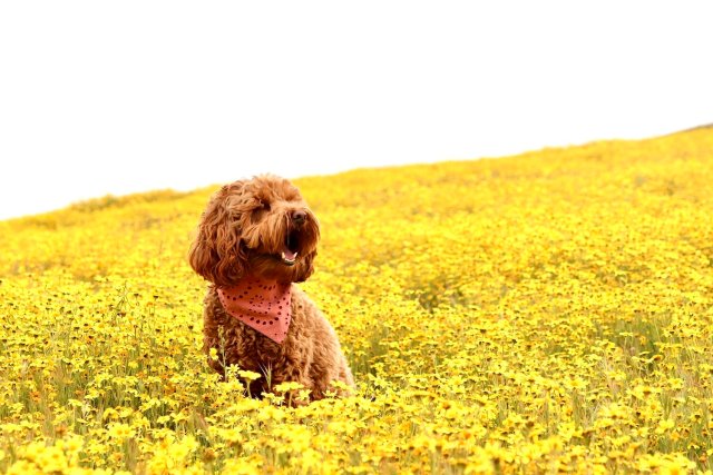 Sending Instagram Reels Is My Love Language 3 7775295946079891160 IMG 7328