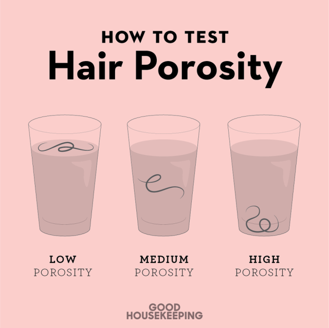 Hair Porosity Image