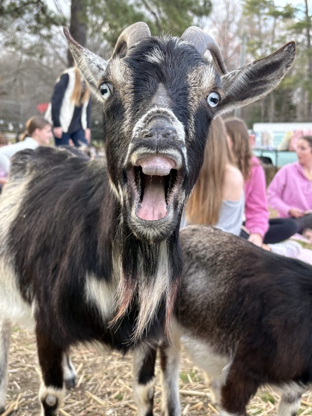 Why I CHAARG: The Scoop on NCSU's Women's Workout Group 3 IMG 3823 rotated