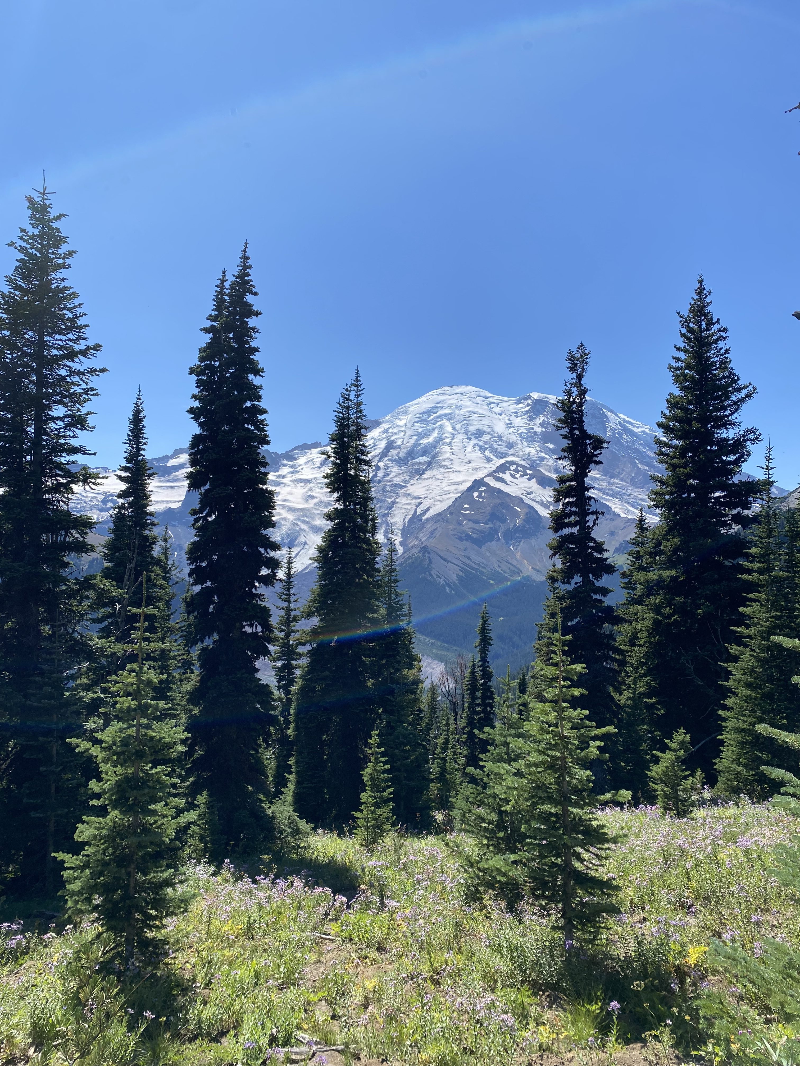 Tips for Backpacking Mt. Rainier During the Busiest Season