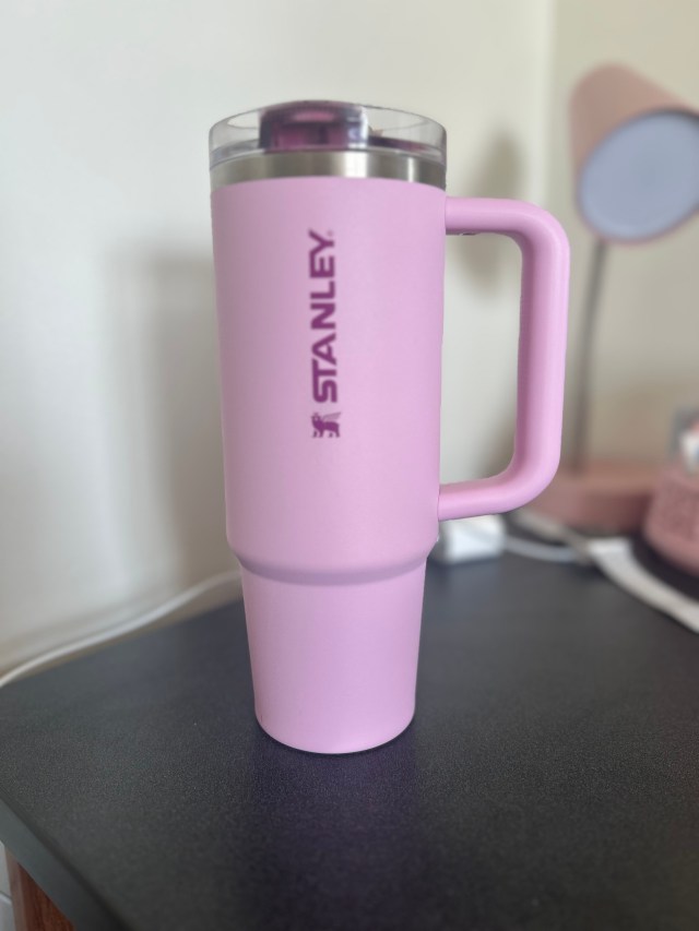 Stanley’s Protour Tumbler: Worth The Hype Or Just Another Cup? 4 IMG 4030