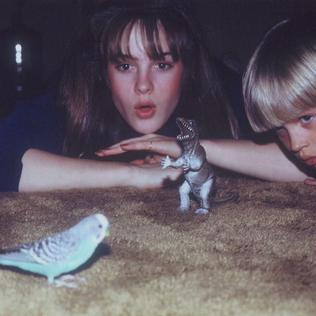 10 Albums to Instantly Put You into the Fall Spirit 6 Big Thief Masterpiece